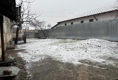 Vand gospodarie taraneasca traditionala - 4