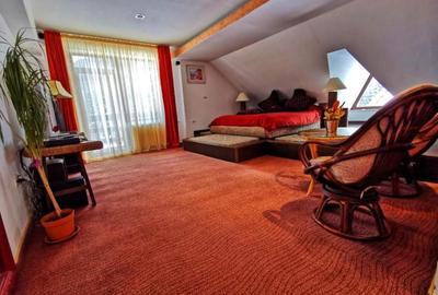 Hotel Mistral Moieciu - 10