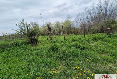 Vanzare teren in Straja - 1295 mp - 3