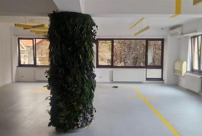 INCHIRIERE VILA PENTRU BIROURI UNIRII | P+2 | ZONA CENTRALA - 19