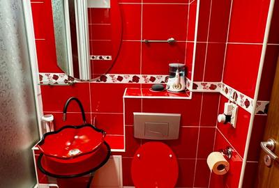 Vanzare apartament Grivitei mobilat - 7