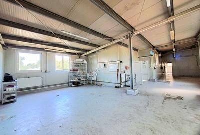 Hala de depozitare sau productie cu birouri | Mehala - 1