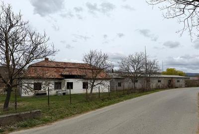 HALE INDUSTRIALE | CLADIRE BIROURI | TEREN 7000 MP | GHEGHIE BIHOR - 19