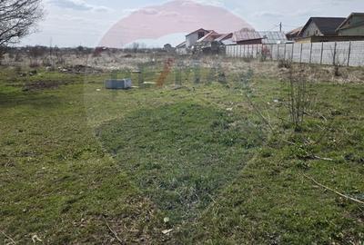 Teren  Balotesti Dumbraveni  16.700 mp /8350 mp /loturi 500 mp - 4