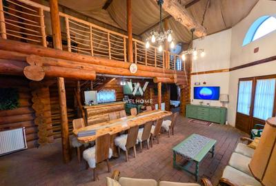 Cabana / Casa de vacanta pe Transfagarasan - Sibiu - 5