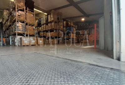 Spatiu industrial de vanzare in Bors - 4