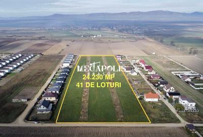 HALCHIU  Vinzare 41  PARCELE  de TEREN - 1