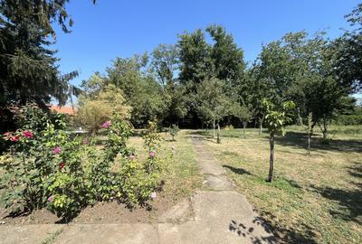Popas La Doi Brazi - magazine, bar, terasă, casă boierească, grădină și piscină - 19