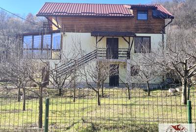 Casa D+P+M de vanzare in Metes - 3