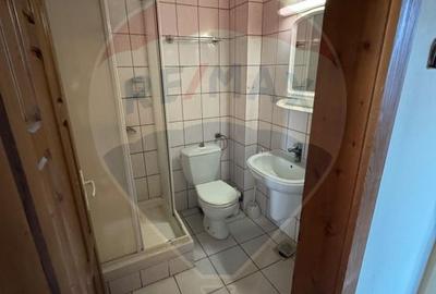 Spațiu comercial de 320mp de închiriat - 11