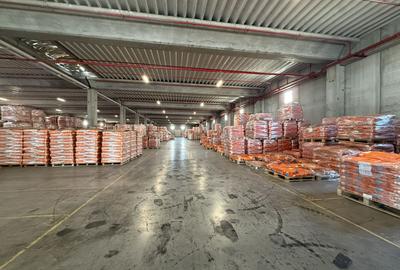 DE INCHIRIAT HALĂ INDUSTRIALĂ CLASA A | 5.000 MP | CHITILA - 8