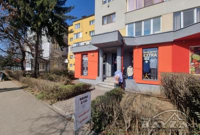 Bulevardul Traian, spatiu comercial 165 mp utili - 10