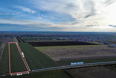 Teren agricol extravilan de 10000 mp, în Sânandrei