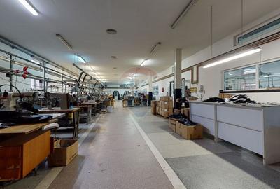 Producție / Depozitare + Birouri – Proprietate industrială de vânzare - 1