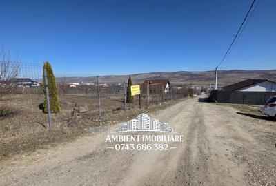 Teren intravilan 600 mp + PROIECT, VASLUI - zona FILATURII, str. Aurel Vlaicu; - 6