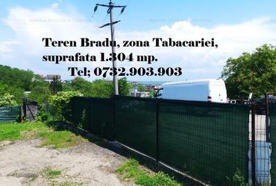 Terenuri Bradu, diverse suprafete - 6