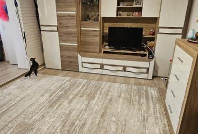 Etaj 1 ap 2 camere decomandat 57mp zona nicolina belvedere - 4