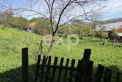 Panoramă superbă - 14.613 mp lângă A1 Tigveni - 1,5 ore până la București - 4