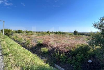 Teren intravilan, 2559 mp, zona Sitoaia - 1