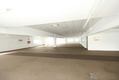 Spatii birouri/servicii - 53