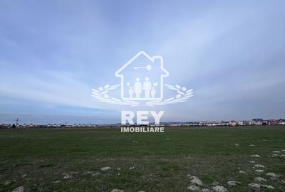 Teren Arabil Turnișor - Spre ferma de pui - 4