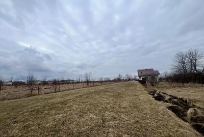 Teren Intravilan 2020 MP | Zonă Linistita | Radauti - 2