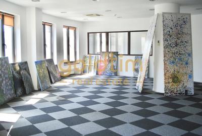 SPATIU BIROURI/CLADIRE BIROURI/ULTRALCENTRAL/CALDERON - 2