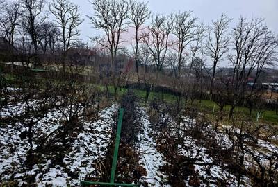 Teren Construcții intravilan de 4516 mp, în Doina