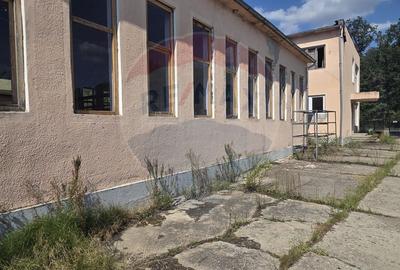 Spațiu industrial 15435 mp. de vânzare in Tinca. - 2
