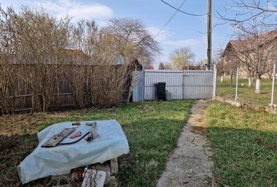 Teren - Roman  -Trifesti - ieșire la lac - livada pe rod - 9