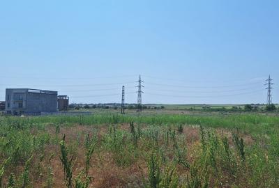 OCAZIE !EFORIE NORD  TEREN DE 1.666 MP PRET 199.000 EURO - 6