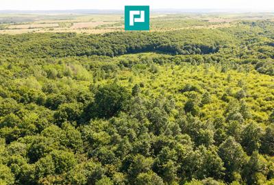 TEREN AGRICOL EXTRAVILAN  22.900 MP LIPOVA - 15