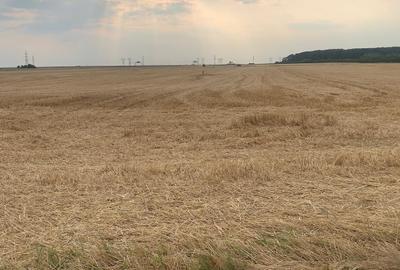 Stefanesti de Jos DJ200  teren intravilan suprafata compacta 3 hectare - 3