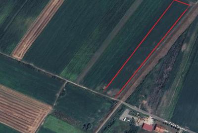 Teren agricol intravilan de 8275 mp, în Ciugud