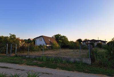 Vanzare teren intravilan imprejmuit 800mp Buftea - 8