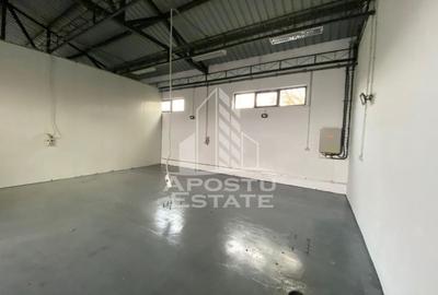 Hala de inchiriat Timisoara - Dambovita, depozitare, service auto - 5