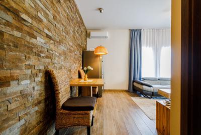 De vanzare pensiune in Sasca Montana - clasificare 3 margarete - 16