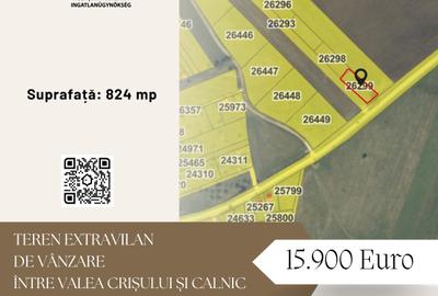 Teren extravilan de vânzare între Valea Crișului și Calnic - 1