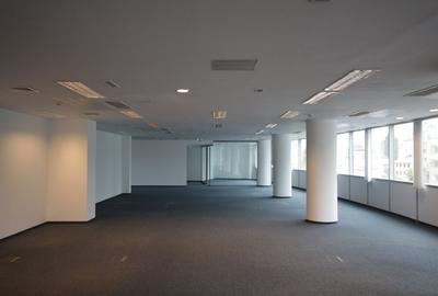 Comision 0% ! Birou premium in zona Piata Victoriei - 5