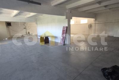 Spațiu industrial, de 300.00 mp, în Baciu
