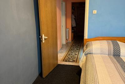 Apartament 2 camere Alexandru cel Bun - 13