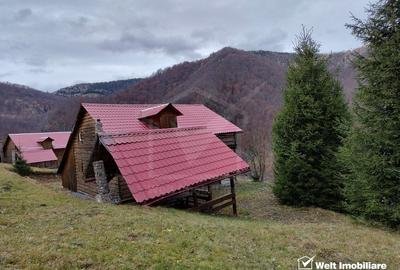 Oportunitate unica! 5ha + 2 cabane de vacanta in Valea Ierii - 3