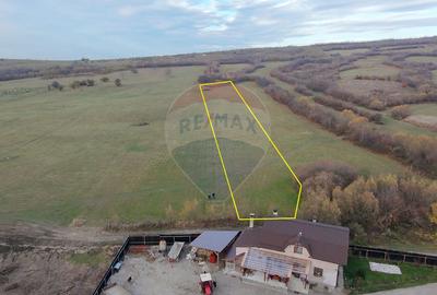 Teren 5.800 mp Purcareni curent, gaz, apă / Strada 30 decembrie - 7