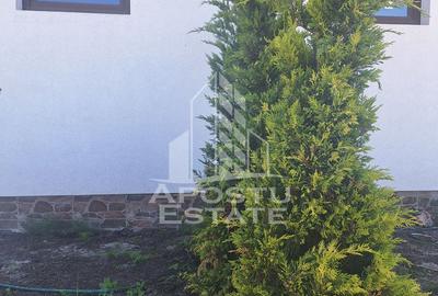 Duplex cu 4 camere în Bucovăț (Remetea Mare)