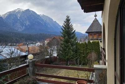 Vila Busteni vedere exceptionala! - 1