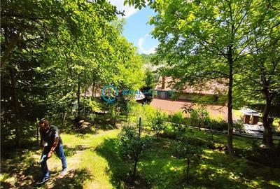 Royal Imobiliare -vanzare vila/ casa de vacanta zona CAMPINA - 25