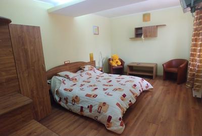 Vila/Pensiune,casa administrator,teren plat 2000Mp - 9