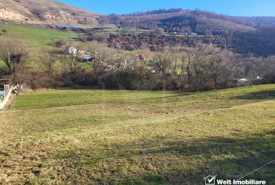 Teren Construcții intravilan de 6179 mp, în Tăuți