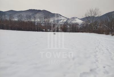 Teren intravilan 2.295 mp, deschidere 60 m – Rășinari, comision 0% - 6