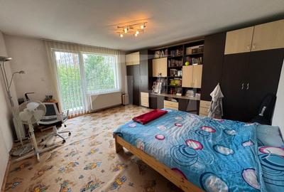 Casa individuala, 600 mp teren, langa Iulius Mall - Intre Lacuri - 2
